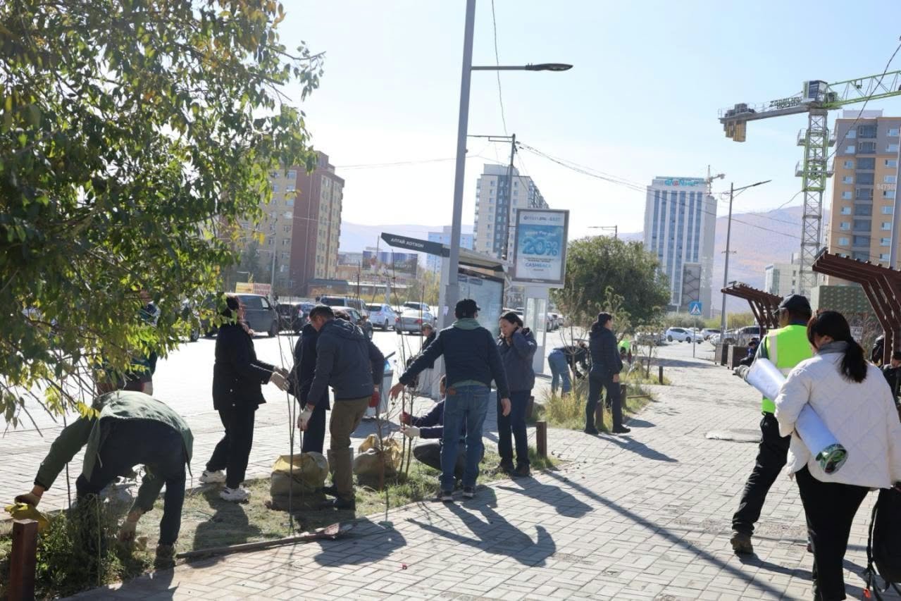 “АЛТАЙ” хотхоны автобусны буудал болон 18-р хороо, 50-р байрны урд талбайд бичил цэцэрлэгт хүрээлэн байгууллаа 8