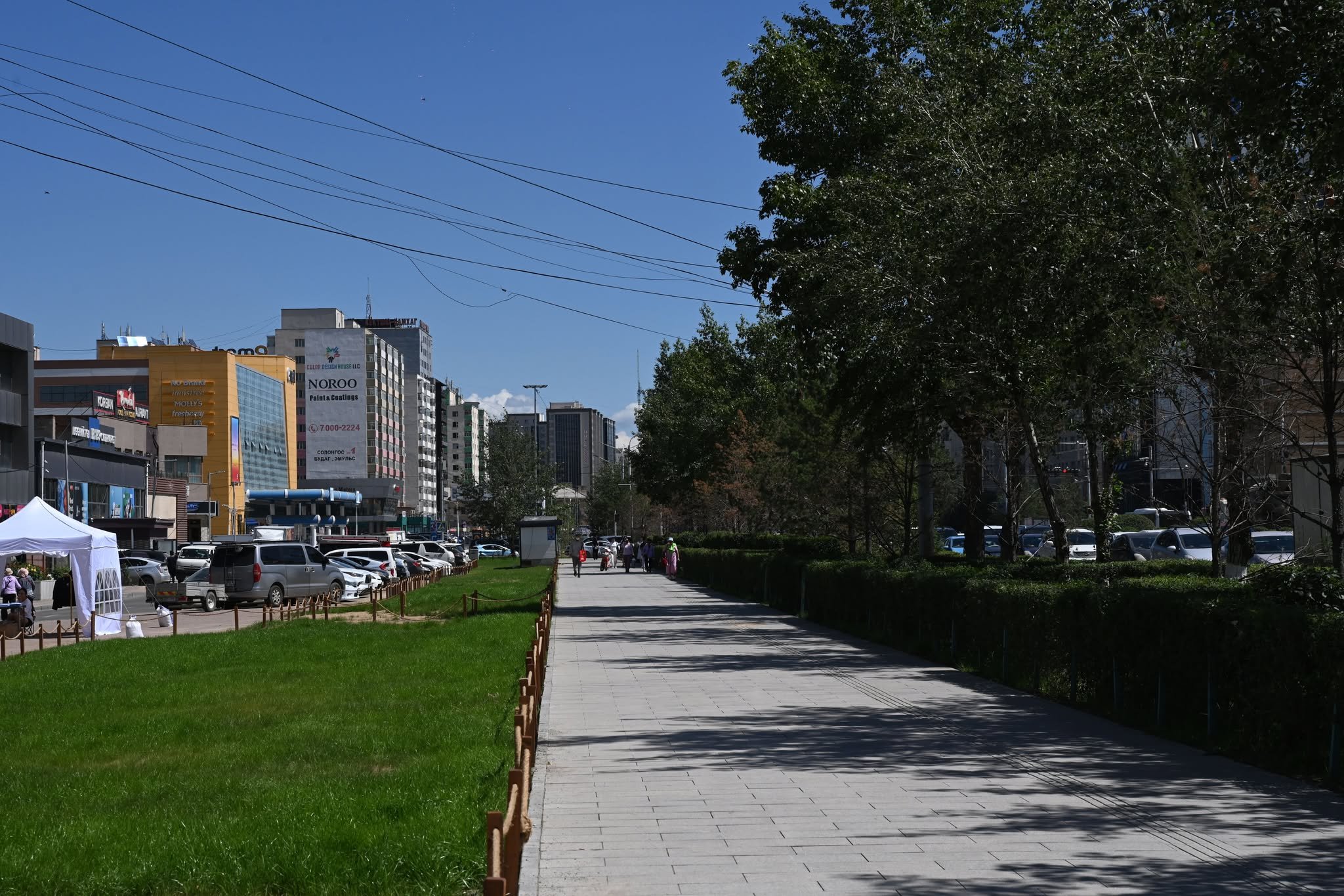 Баянгол дүүрэгт 450 гаруй байршилд 11,2 га газрыг зүлэгжүүлж, ногоон байгууламжи 4