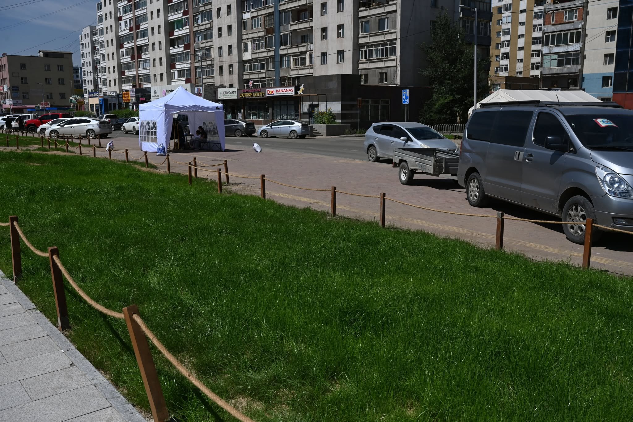 Баянгол дүүрэгт 450 гаруй байршилд 11,2 га газрыг зүлэгжүүлж, ногоон байгууламжи 5