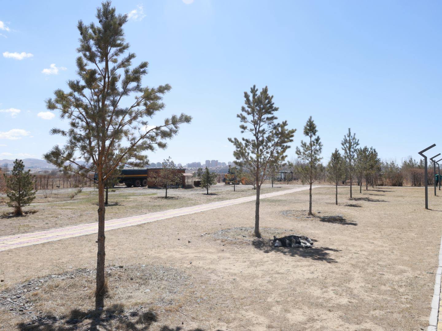 "Тэрбум мод" үндэсний хөдөлгөөний хүрээнд хаврын мод тарих ажлыг эхлүүлж, 2026 онд дүүргийн хэмжээнд ногоон байгууламж нэмэгдүүлэх төлөвлөлтөө танилцууллаа 2